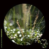 Biospherica -Jacob Newman CD