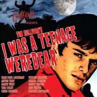 BSX Records Chillerama: I Was A Teenage Werebear (Original Motion Picture Soundtrack) Music CD - Various Artists CD
