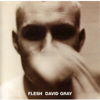 David Gray - Flesh CD