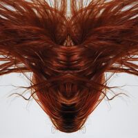 Collection Of Hair - Dave Phillips CD