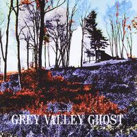Bad Malady - Grey Valley Ghost CD