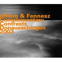 Complementary Contrasts -Erikm Fennesz CD