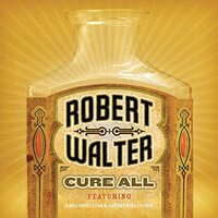 Cure All -Walter, Robert CD
