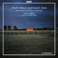 A Concert For Arno Schmidt - DESI REUDENBACH HP PLATZ LO CD