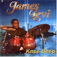 Knee Deep -James Levi CD