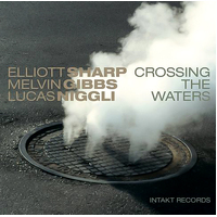 Crossing The Waters -Elliott Sharp Melvin Gibbs L CD