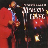 Soulful Sounds of Marvin Gaye CD