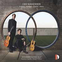 Bahms Schubert Franck Mertz: Der Wanderer -Brahms / Franck / Mertz / Wanderer CD
