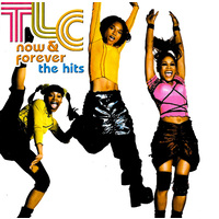 TLC - Now & Forever - The Hits CD