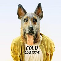Bachelorette Party -Cold Collective CD