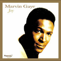 Marvin Gaye : Joy CD