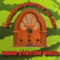 Radio Station WMJB - The Watermelon Mountain Jug Band CD