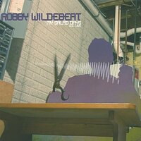 My Salad Days 1 -Robwildebeat CD