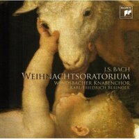 Bach,J.S: Christmas Oratrorium -Beringer / Windsbacher Knabenchor & Bach CD