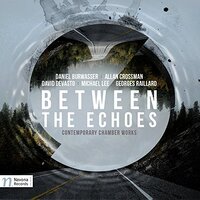 Between The Echoes -Burwasser / Arcadian Winds / Eusebius Duo CD