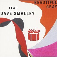 Beautiful Gray -Pocket Smalley, Dave CD