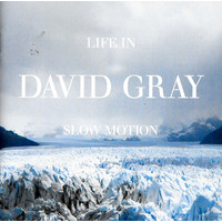 David Gran - David Gran - Life In Slow Motion PRE-OWNED CD: DISC LIKE NEW
