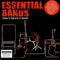 Essential Bands PRE-OWNED CD: DISC EXCELLENT