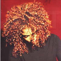 Janet The Velvet Rope PRE-OWNED CD: DISC EXCELLENT