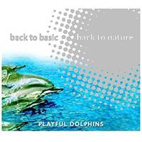 The Nature Orchestra : Playful Dolphins PRE-OWNED CD: DISC EXCELLENT