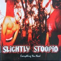 Slightly Stoopid - Everything You Need PRE-OWNED CD: DISC EXCELLENT