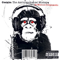 Meshell Ndegeocello - Cookie: The Anthropological Mixtape PRE-OWNED CD: DISC EXCELLENT