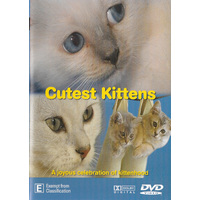 Cutest Kittens Documentary -Educational DVD Series Rare Aus Stock New Region ALL