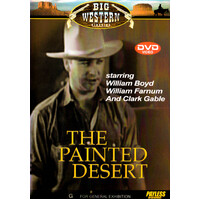 The Painted Desert (, 2002) DVD Preowned: Disc Excellent