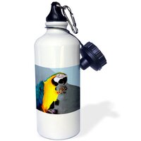 Black Sheltie - Sports eco-friendly Water Bottle, 21oz (620ml) - 3dRose