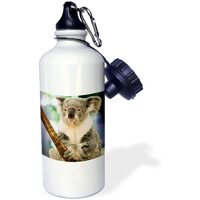 Koala Australia, Brisbane, Fig Tree Walter Bibikow - Sports eco-friendly Water Bottle, 620 ml (21oz) - 3dRose -AU01 WBI0123