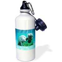 Ocean Manatees Looking at You - Sports eco-friendly Water Bottle, 620 ml (21oz) 3dRose