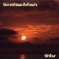 The Autumn Defense - Circles- Vinyl Record New Music Album