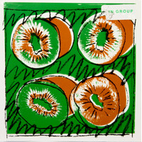 Pin Group ‎– Coat Vinyl Record New Music Album