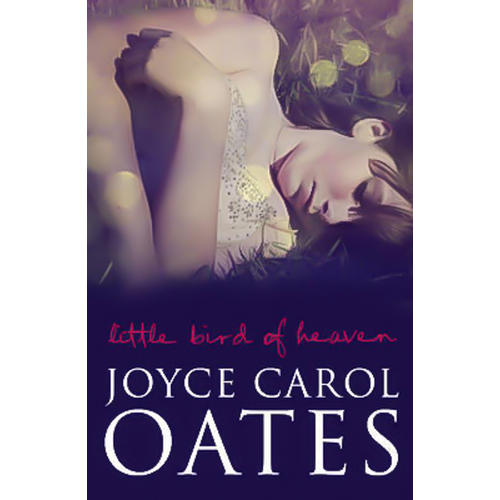 Little Bird of Heaven -Joyce Carol Oates Novel Book