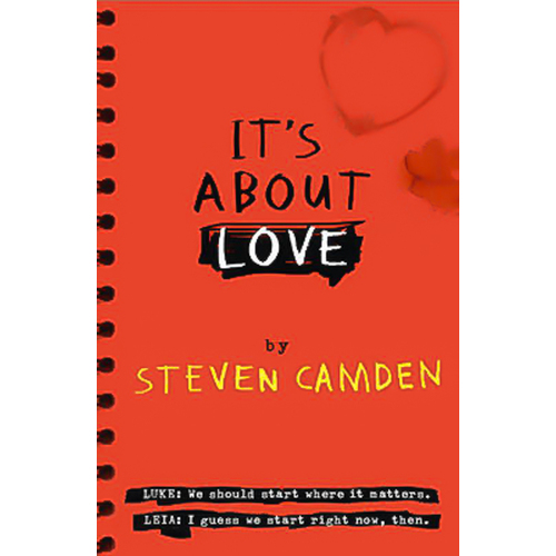 It&#39;s About Love -Steven Camden Novel Book