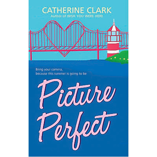 Picture Perfect -Catherine Clark Book