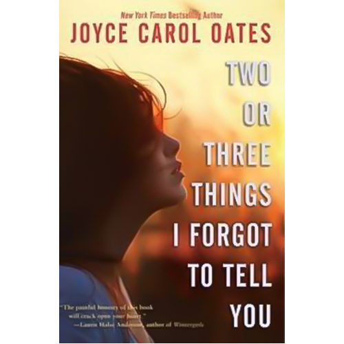 Two or Three Things I Forgot to Tell You - Novel Book