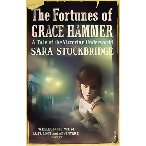 The Fortunes of Grace Hammer: A Tale of the Victorian Underworld Book