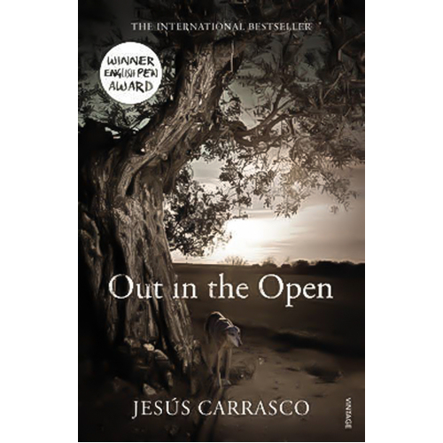 Out in the Open -Margaret Jull Costa Jesus Carrasco Book
