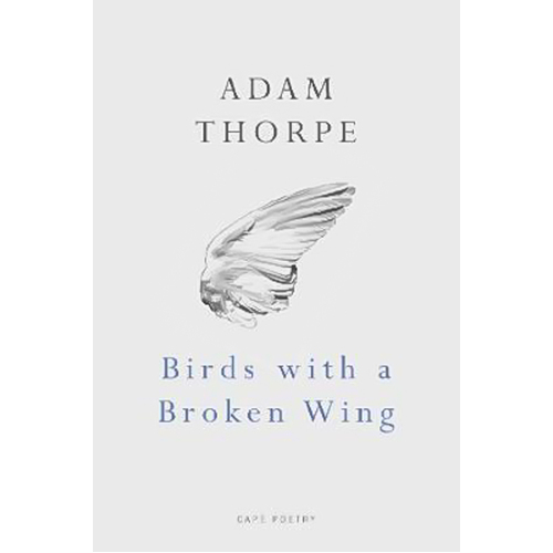 Birds With A Broken Wing -Adam Thorpe Book