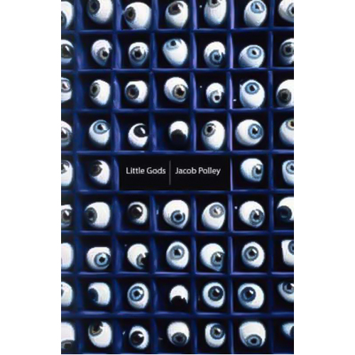 Little Gods -Jacob Polley Book