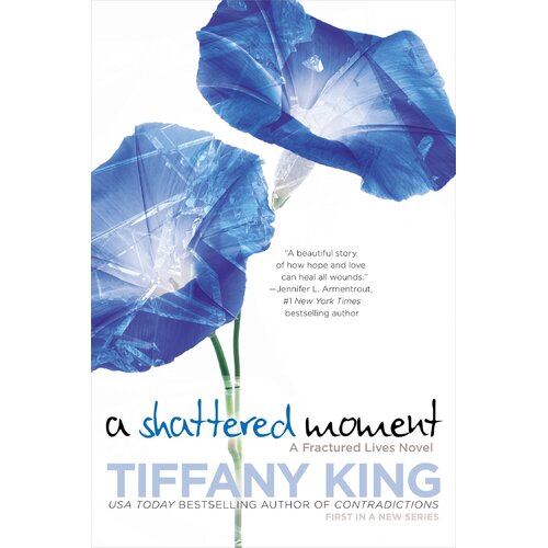 A Shattered Moment: Fractured Lives Novel -Tiffany King Paperback Novel Book