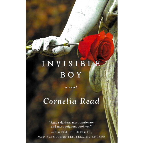 Invisible Boy -Read, Cornelia Fiction Book
