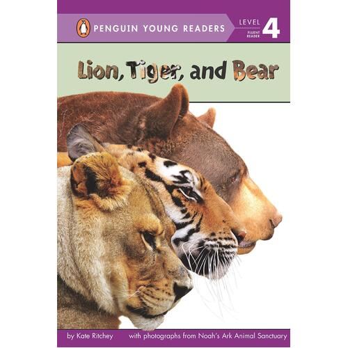 Lion, Tiger, And Bear [Board book] -Tomie dePaola Paperback Children&#39;s Book