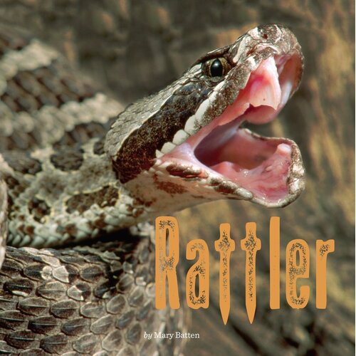 Rattler: Penguin Core Concepts -Mary Batten Paperback Children&#39;s Book