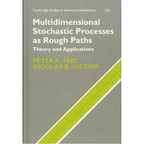 Multidimensional Stochastic Processes as Rough Paths Hardcover Book