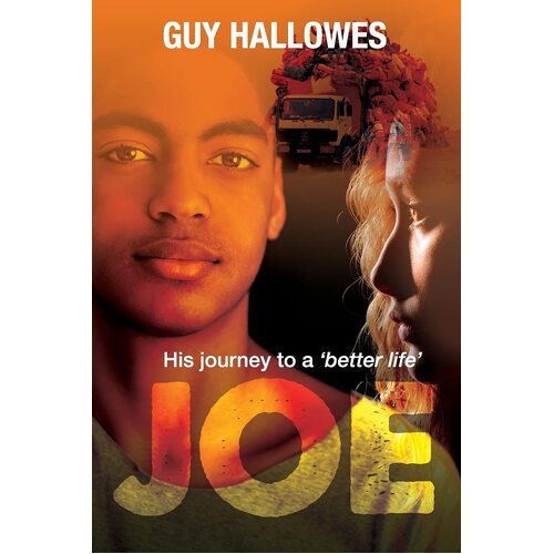 Joe: His journey to a better life - Guy Hallowes