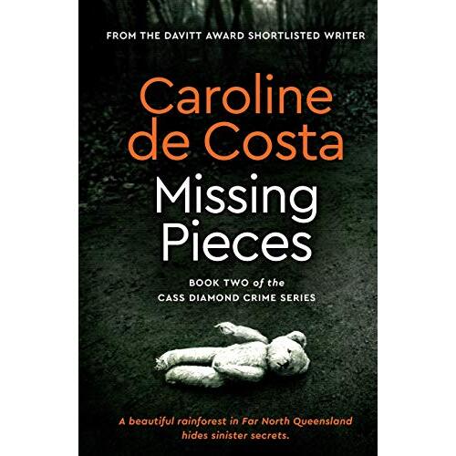 Missing Pieces - Fiction Book