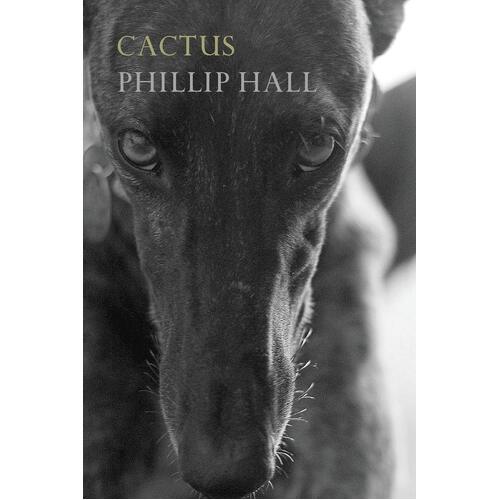 Cactus - Phillip Hall