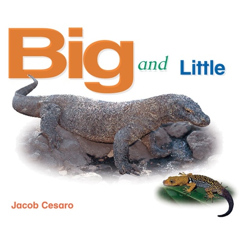 Rigby Literacy Emergent Level 4: Big and Little -Jacob Cesaro Book